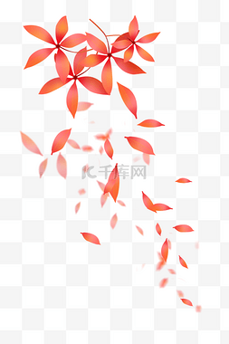 红色花瓣叶子