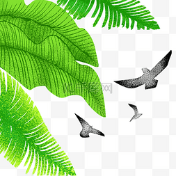 海边大椰树图片_海鸥飞鸟椰树免抠PNG图片