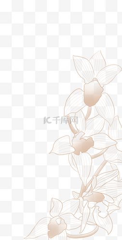 百合素材图片_线描金色百合花朵