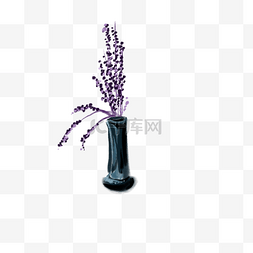 玻璃瓶中植物图片_紫色瓶中花