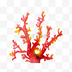 红色唯美珊瑚插图