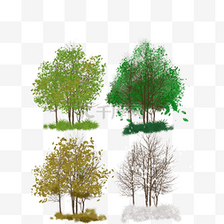 四个季度图片_一年四季植物树木