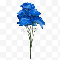蓝色花束实拍