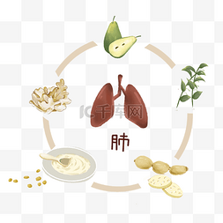 中医食疗食补熬夜润肺