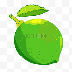 绿色水果柠檬插画