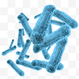细胞图片_肺结核病毒细菌