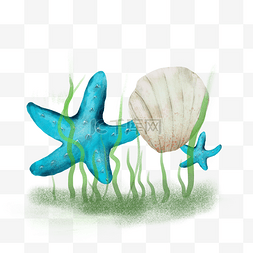 海星和小贝壳png图片_摄影夏日沙滩海星贝壳漂流瓶