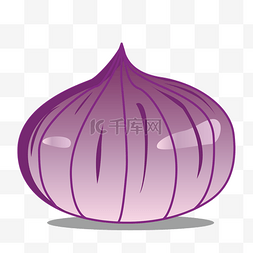 紫色可口大洋葱