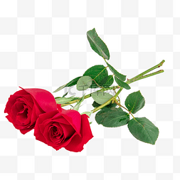 红玫瑰花球图片_女神节红玫瑰花枝