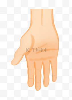 手势装饰插画图片_张开的手势姿势插图