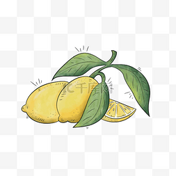 柠檬金橘图片_非常新鲜的柠檬