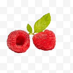 红色水果树莓