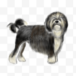 卡通狗罗秦犬插画