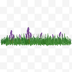 紫色花卉插画图片_紫色花卉草地插画