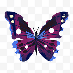 创意蝴蝶插画图片_紫色创意美丽蝴蝶元素