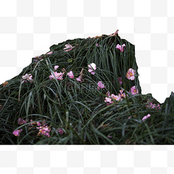艾草糍粑和艾草粉图片_绿草从中的粉花