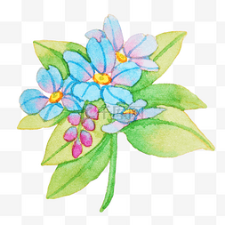 蓝色的鲜花装饰插画