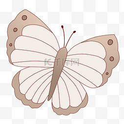 唯美的白色蝴蝶插画