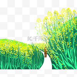 春天茂密的油菜花插画