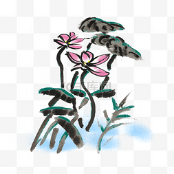 夏天水墨芙蓉手绘插画