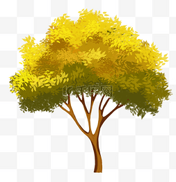 一棵树图片_一棵树黄色叶子树木