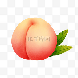 新鲜桃子果实