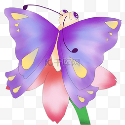 紫色的花图片_紫色的花上蝴蝶插画