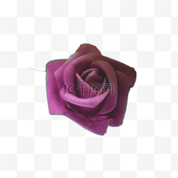 实物图图片_紫色美丽的鲜花下载
