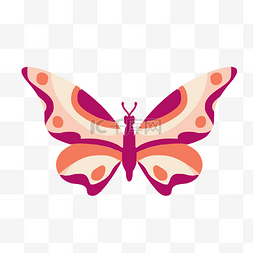 标本蝴蝶图片_鲜粉色蝴蝶卡通手绘图案