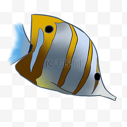 卡通海鱼元素图片_卡通海鱼生物插画