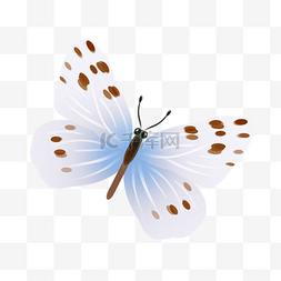 可爱昆虫插画图片_可爱的蝴蝶装饰插画
