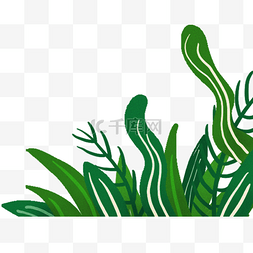 嫩绿色荷叶图片_绿色植物装饰