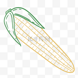 线条场景夏天水果蔬菜玉米