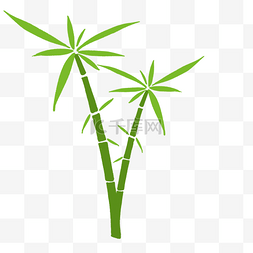 绿色富贵竹竹子