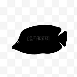 鱼海鱼图片_鱼的轮廓图标