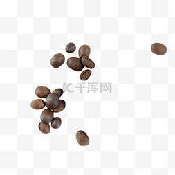 南非图片_南非咖啡豆