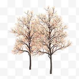粉色小清新模板图片_粉色的樱花树