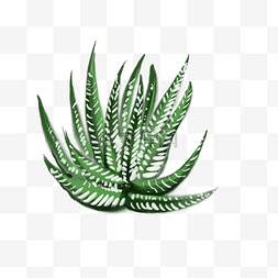 绿色植物免抠插图