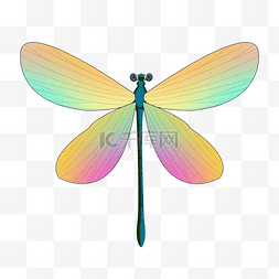 蓝色翅膀蜻蜓图片_蓝色双翅蜻蜓