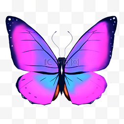 紫色的蝴蝶 