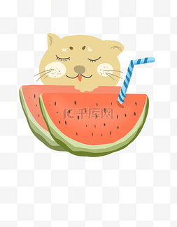 猫清凉图片_猫偷吃西瓜