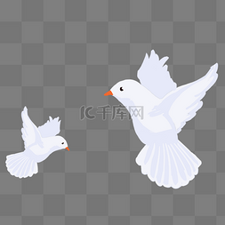 鸽子和平图片_白色和平鸽插画