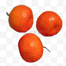 三个橘子水果果子