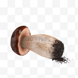蔬菜菇类图片_立体蔬菜蘑菇