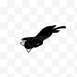 一只黑色的小懒猫