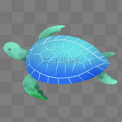 可爱海洋海龟