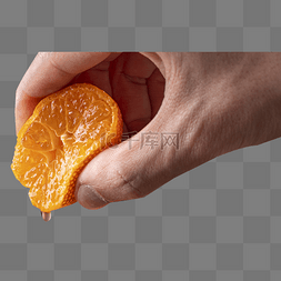 水果砂糖橘橘子