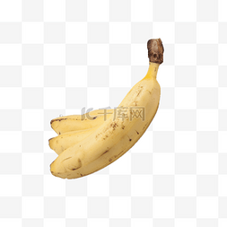 原生态植物图片_软糯香甜的大香蕉