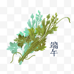 端午节习俗菖蒲驱邪