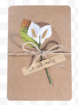 白色的马蹄莲花朵礼盒